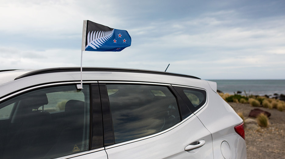 New Zealand Silver Fern flag by Kyle Lockwood
