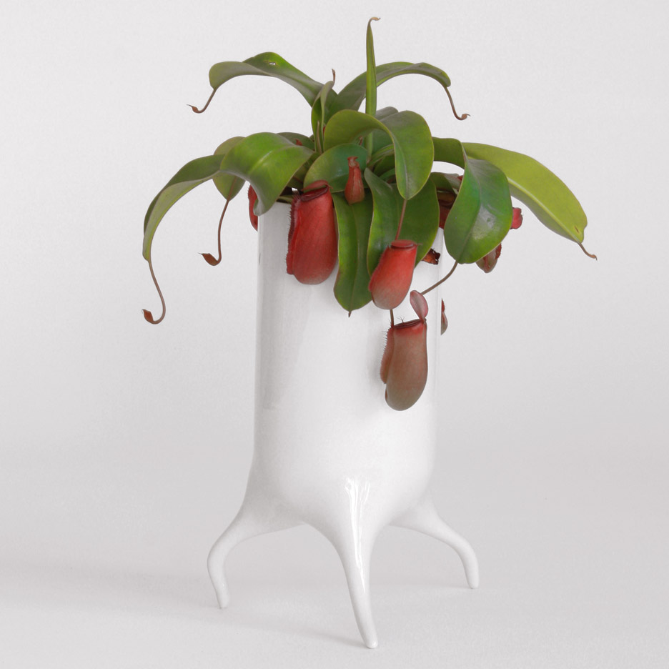 The Carnivora plant pots by Tim Van de Weerd