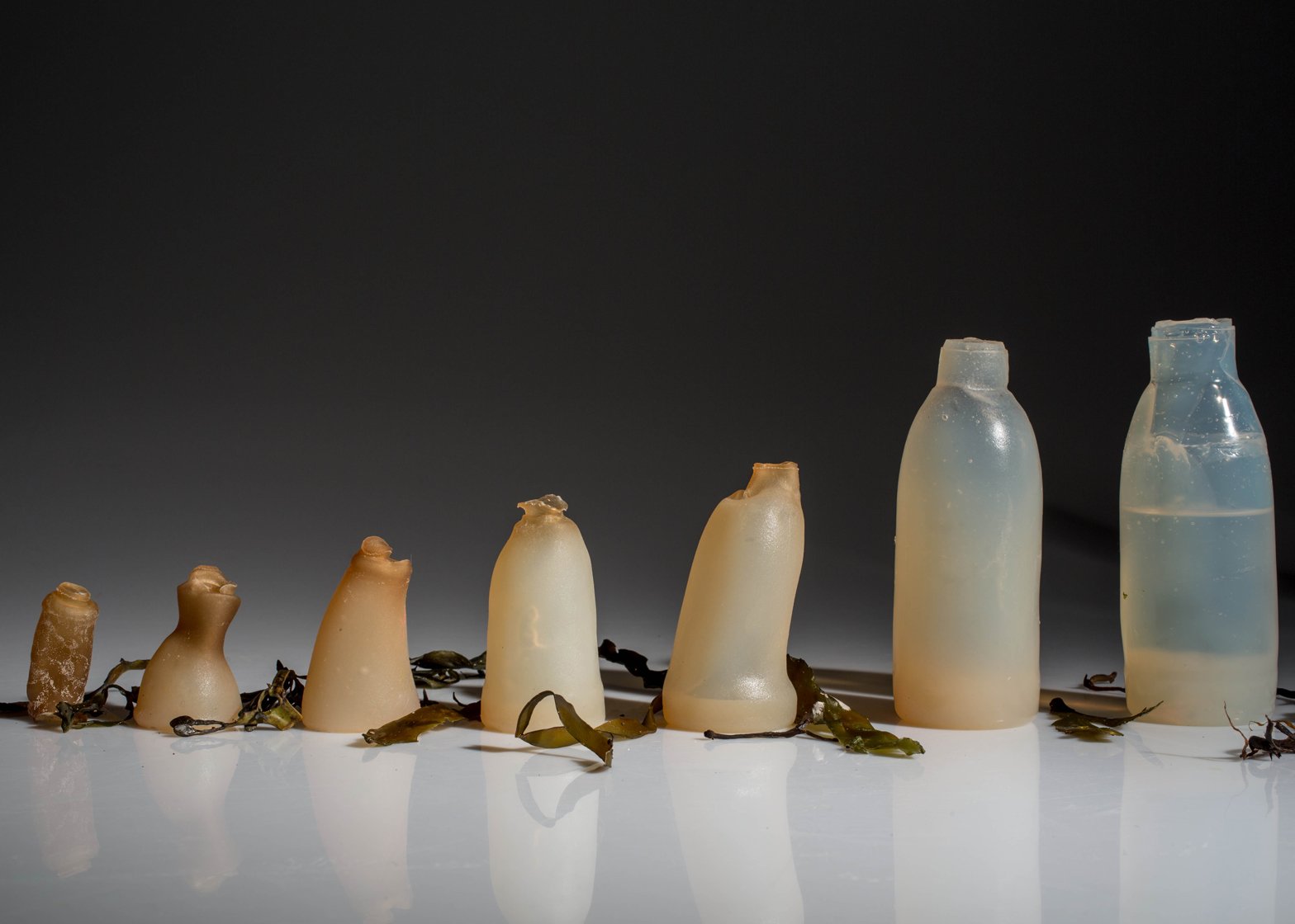 An Algae Water Bottle You Can Drink From (And Eat)