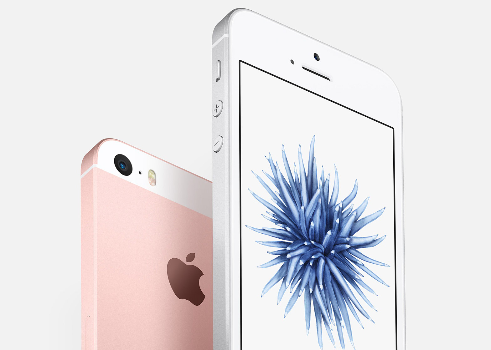 Tanzania Gå ned vælge Apple downsizes its smartphone with launch of iPhone SE