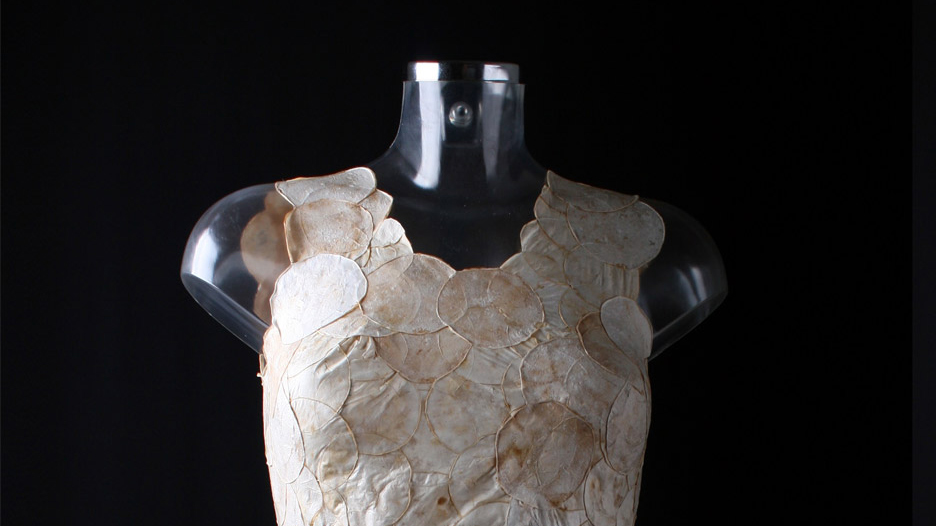 Aniela Hoitink creates dress from mushroom mycelium