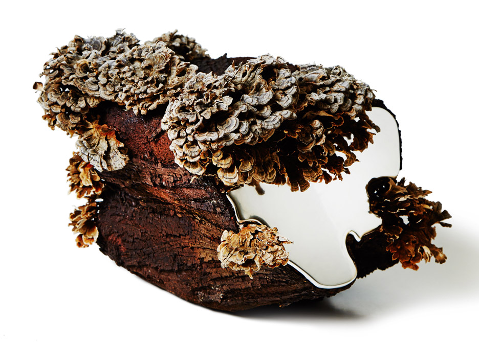 Polypore by Japanese artst Azuma Makoto for Capsule #5 exhibition at Chamber in New York, USA