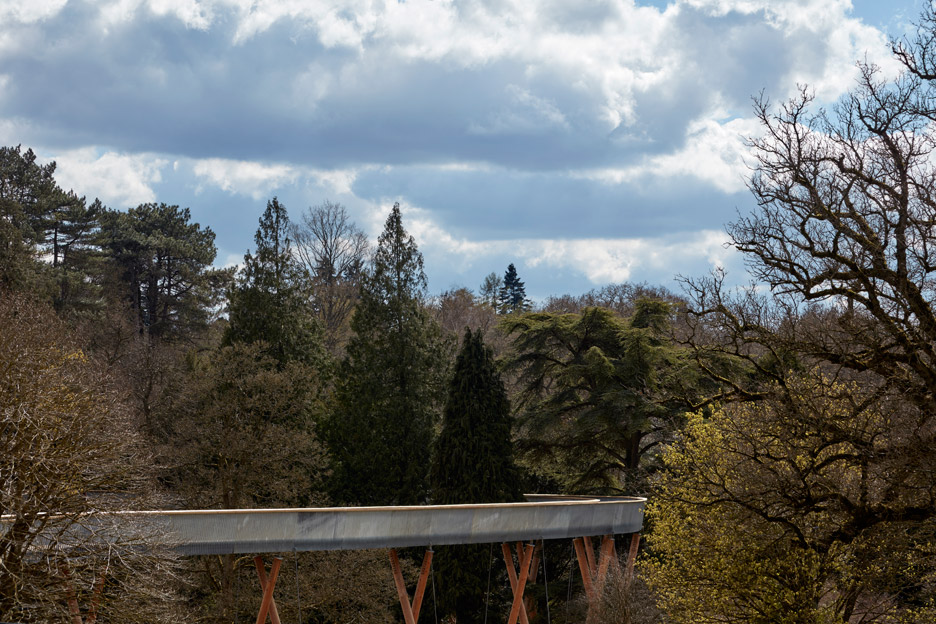 Westonbirt Arboretum walkway by Glenn Howells Architects