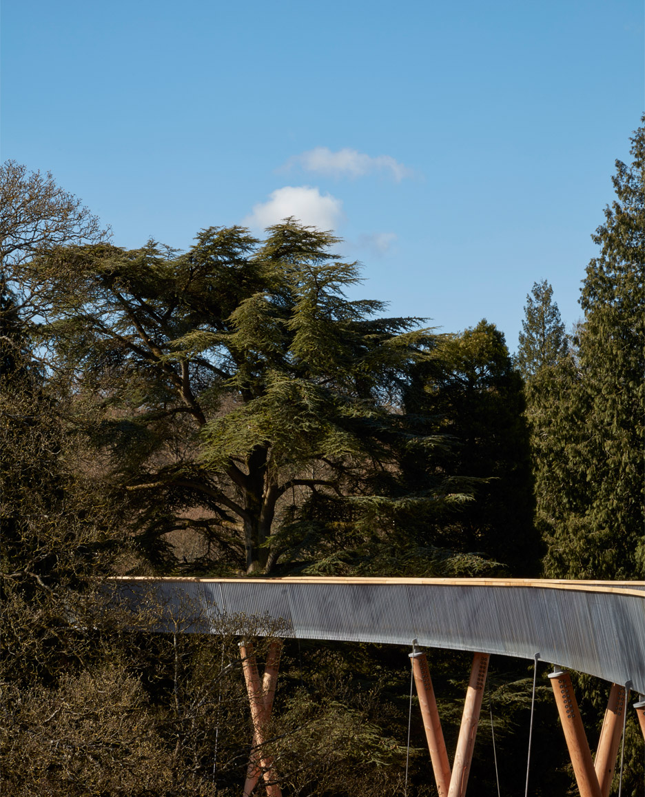 Westonbirt Arboretum walkway by Glenn Howells Architects