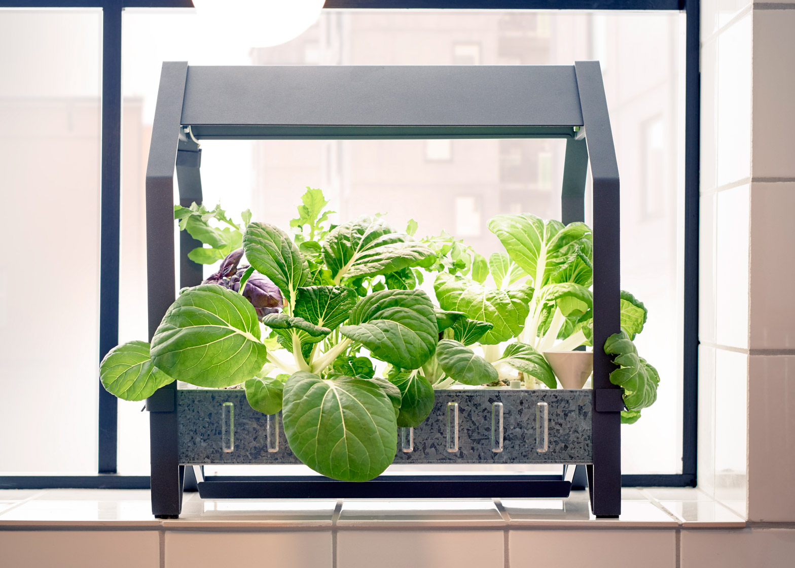 leraar scherp bewonderen IKEA moves into indoor gardening with hydroponic kit