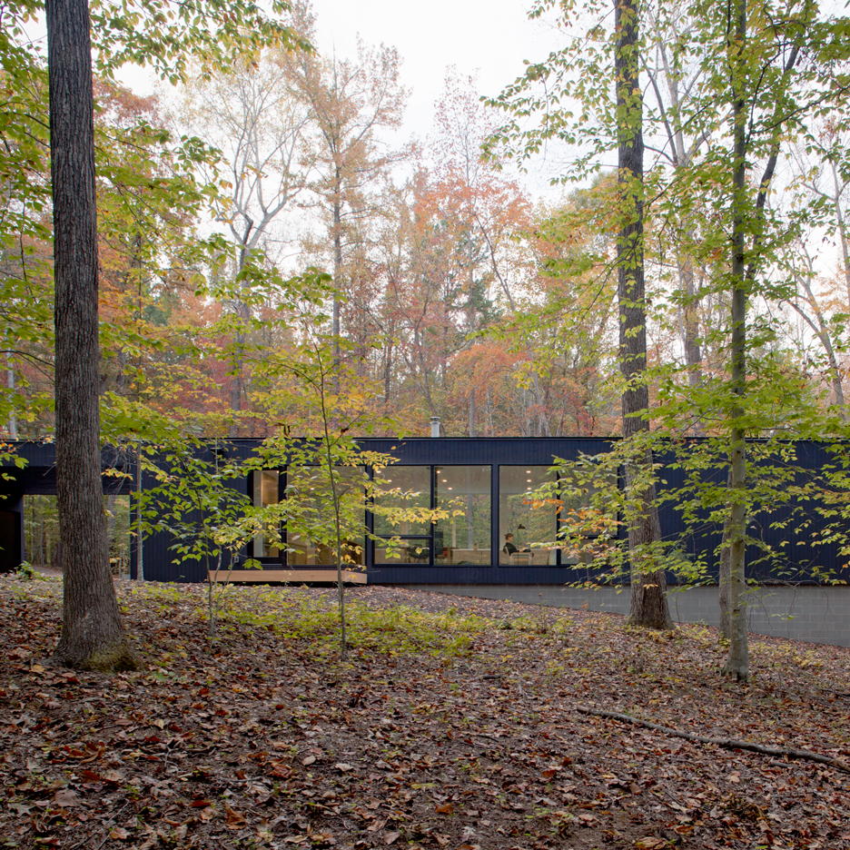 In Situ Studio hides black Corbett Residence in a North Carolina forest