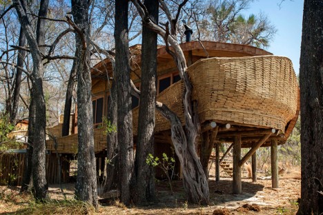 Sandibe Okavango Safari Lodge provides luxury getaway in remote African beauty spot