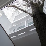 Le Corbusier's Maison Curutchet in Argentina has a tree at its centre