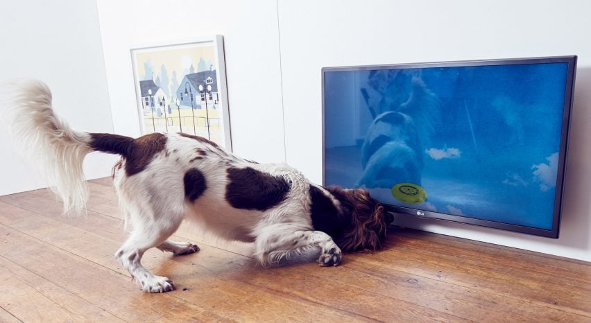 Play More dog exhibition by Dominic Wilcox and More Than