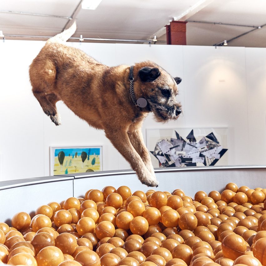 Play More dog exhibition by Dominic Wilcox and More Than