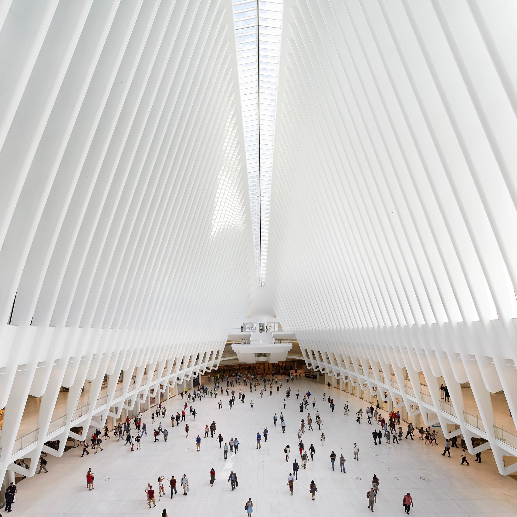 klassisk Subjektiv Tilsvarende Calatrava's World Trade Center Oculus photographed by Hufton + Crow