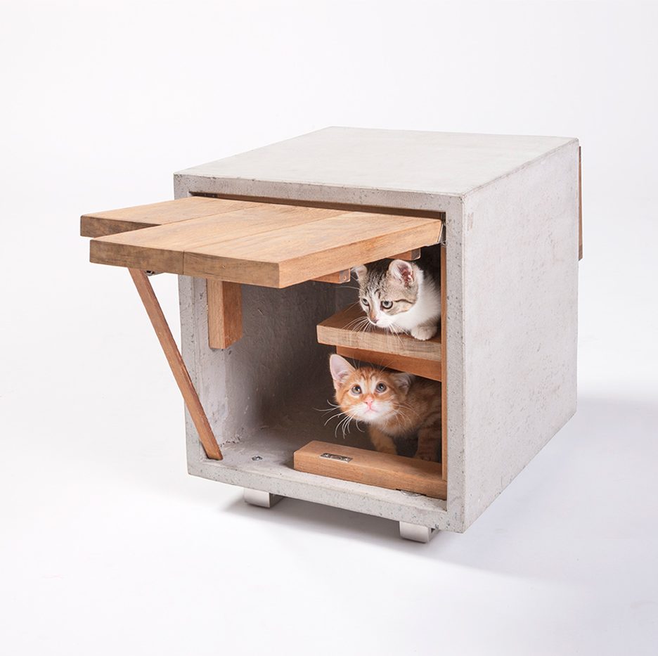today-we-like-cats-standard-architecture-sq