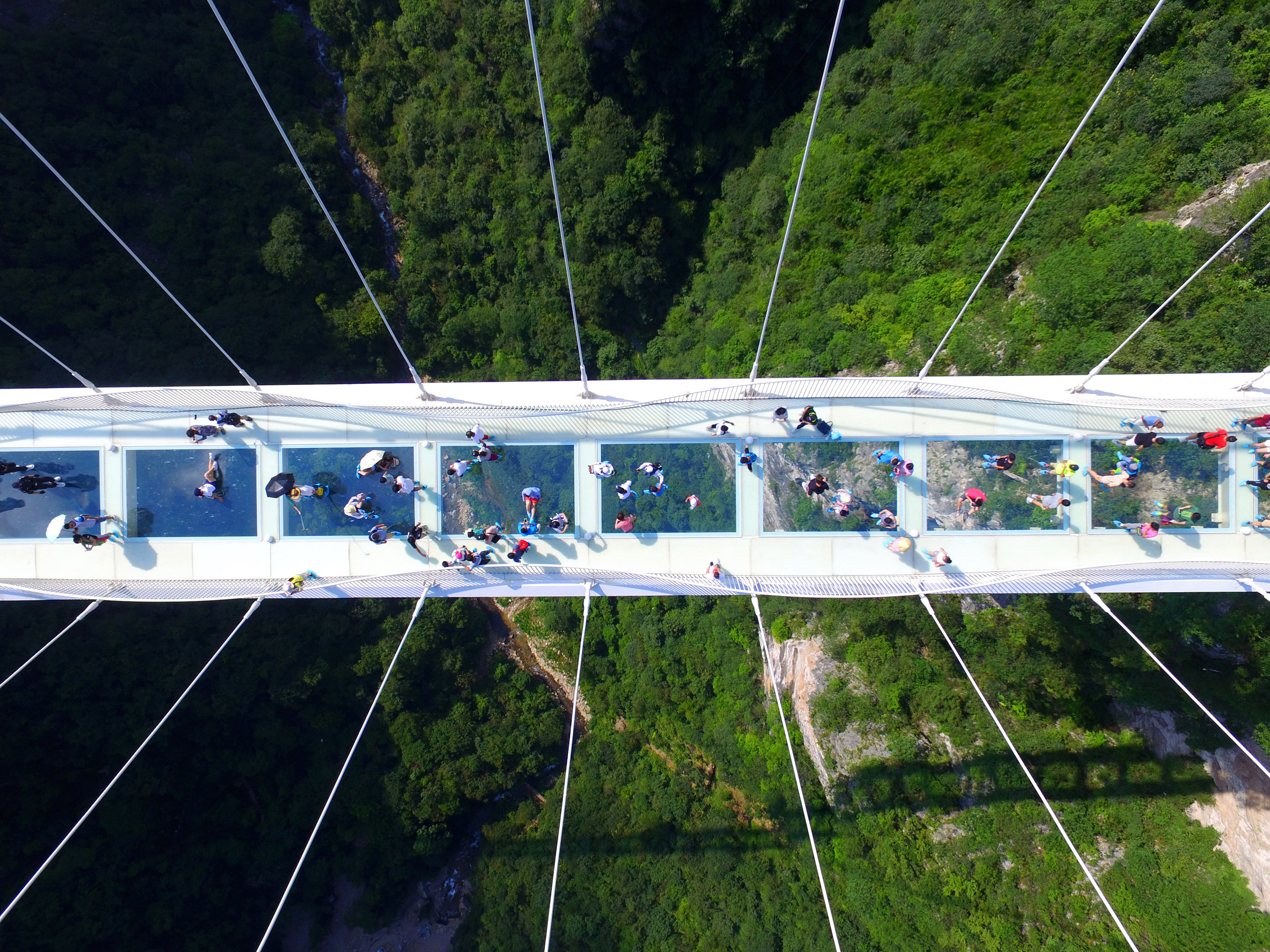 World's tallest and longest glass bridge opens in China