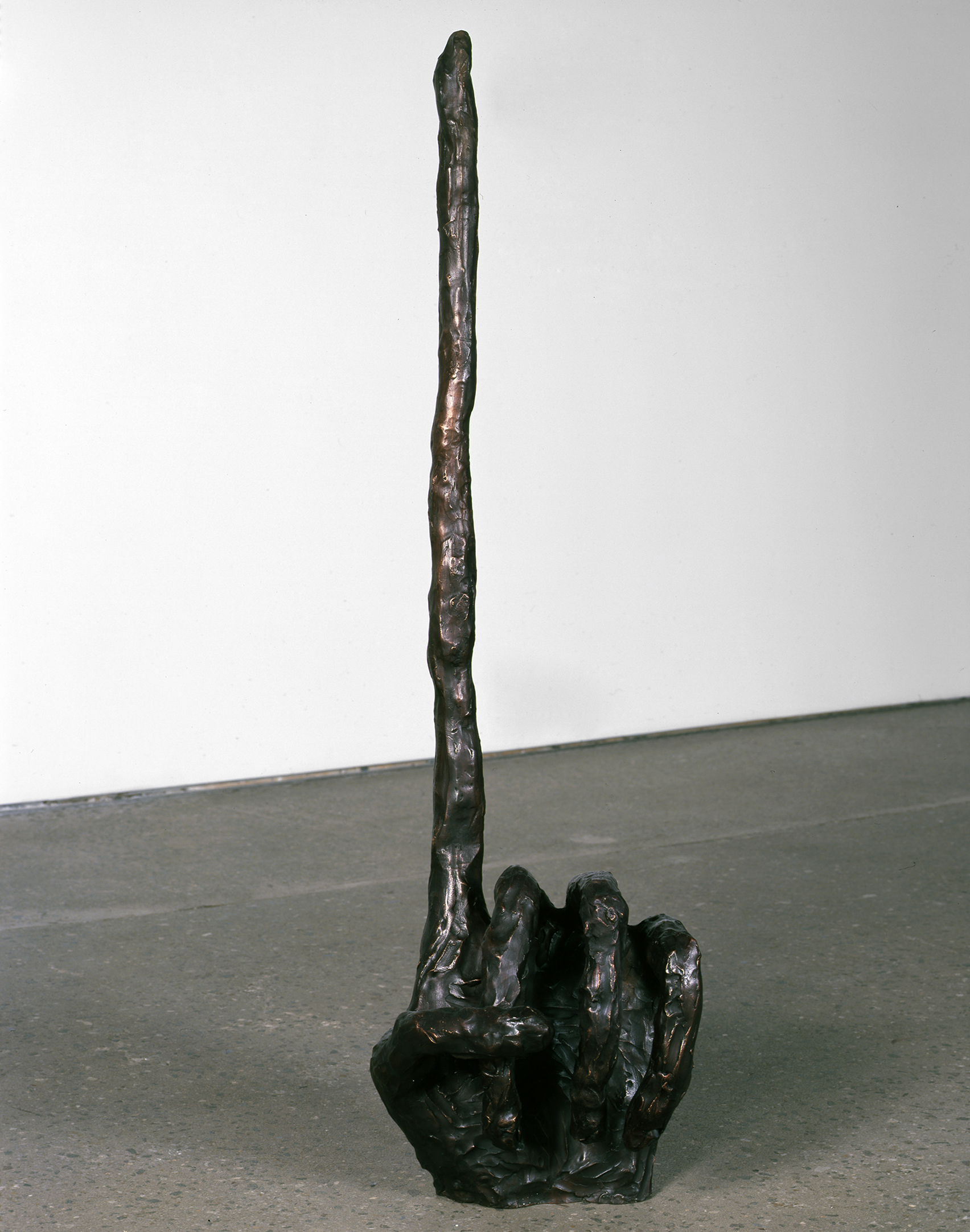 Pointing Hand, 2008. Image courtesy of Anton Kern Gallery