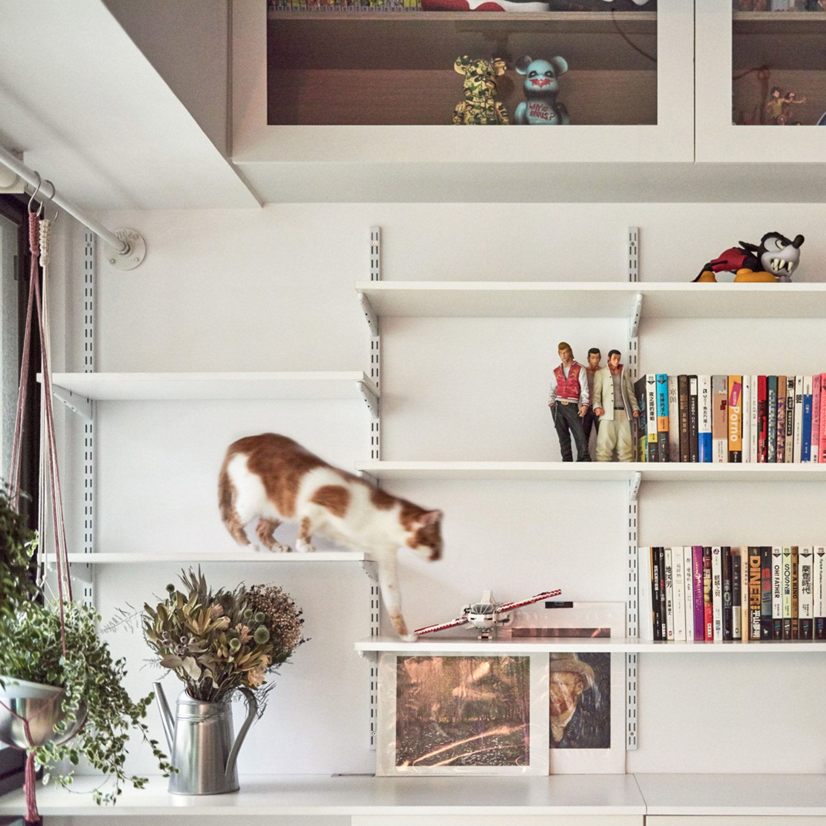 Cat friendly shelves best sale