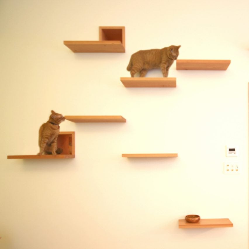 The Cat House by Key Operation
