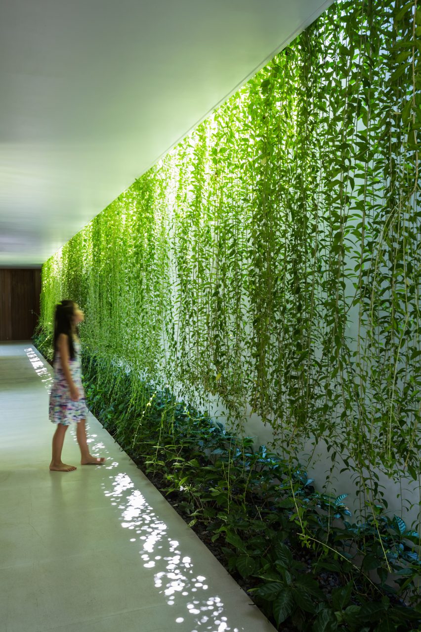 Vietnam'daki Çekmeceli Evin içindeki yeşil duvar