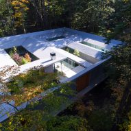 House in a Japanese forest features secluded courtyards framing views of trees and sky