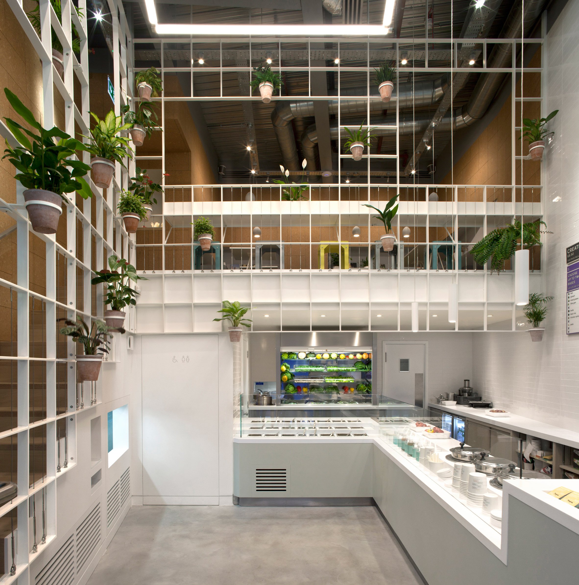 Pot plants cover trellis-like walls inside London cafe by Neiheiser Argyros