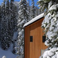 Alpine Meadows Cabin by Studio Bergtraun