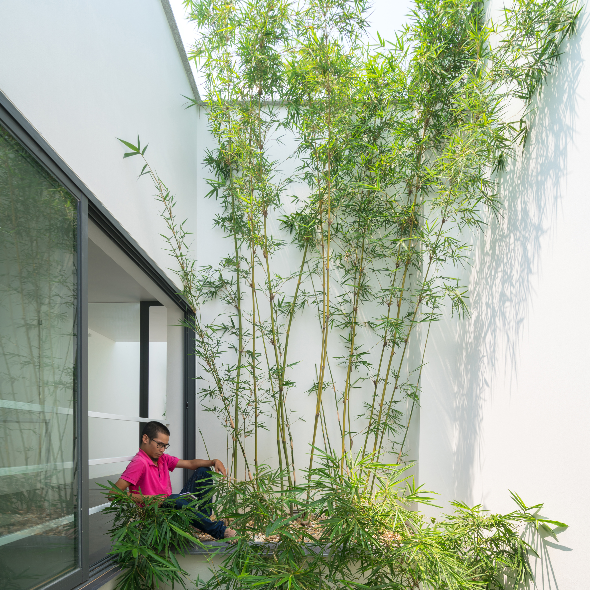 A House in the Trees by Nguyen Khac Phuoc Architects