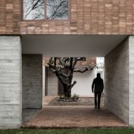 Clay brick and concrete Mexican house surrounds a cactus tree
