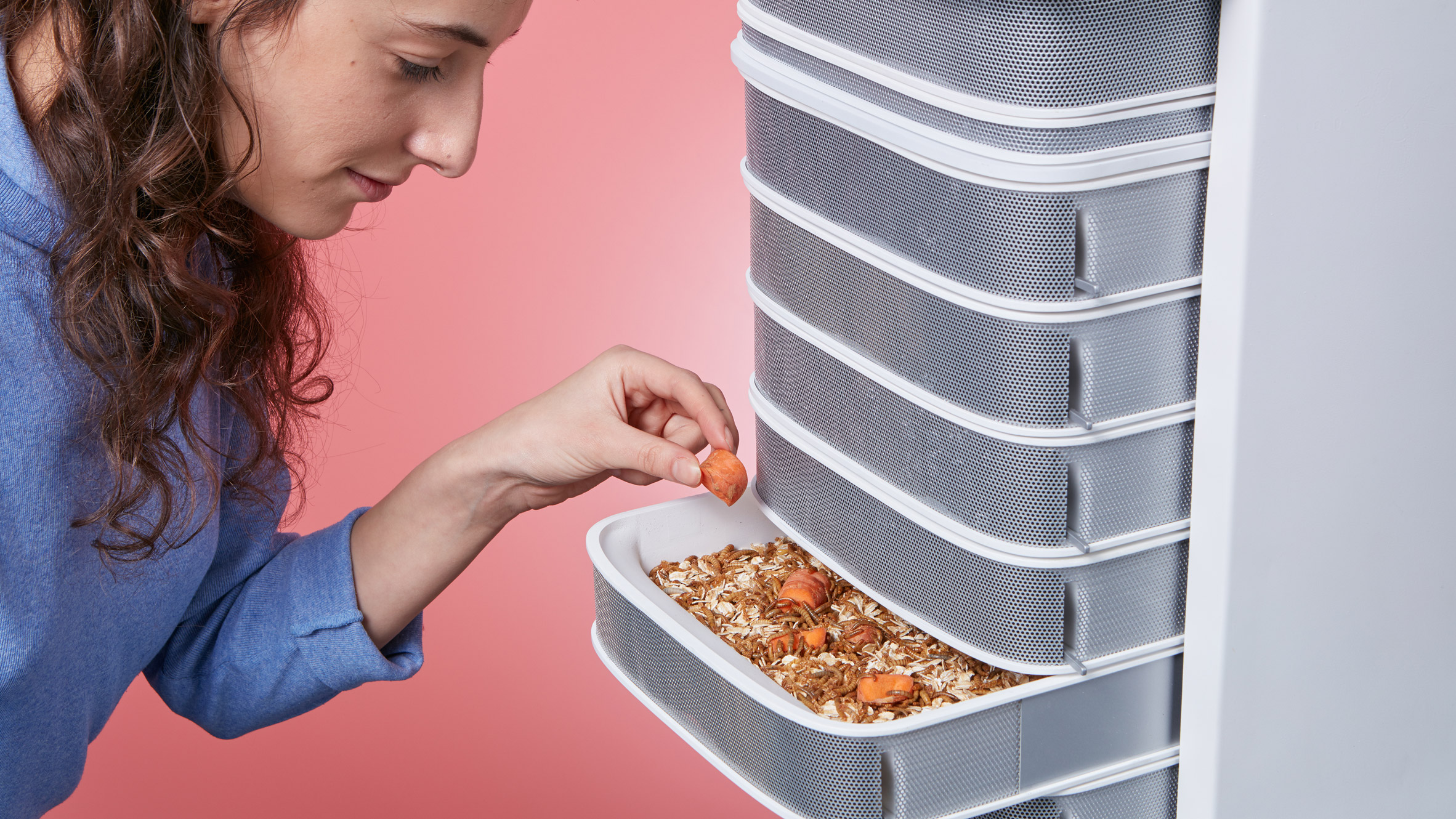 Livin Farms' bench-top insect farms are intended to make mealworms part of our everyday diet