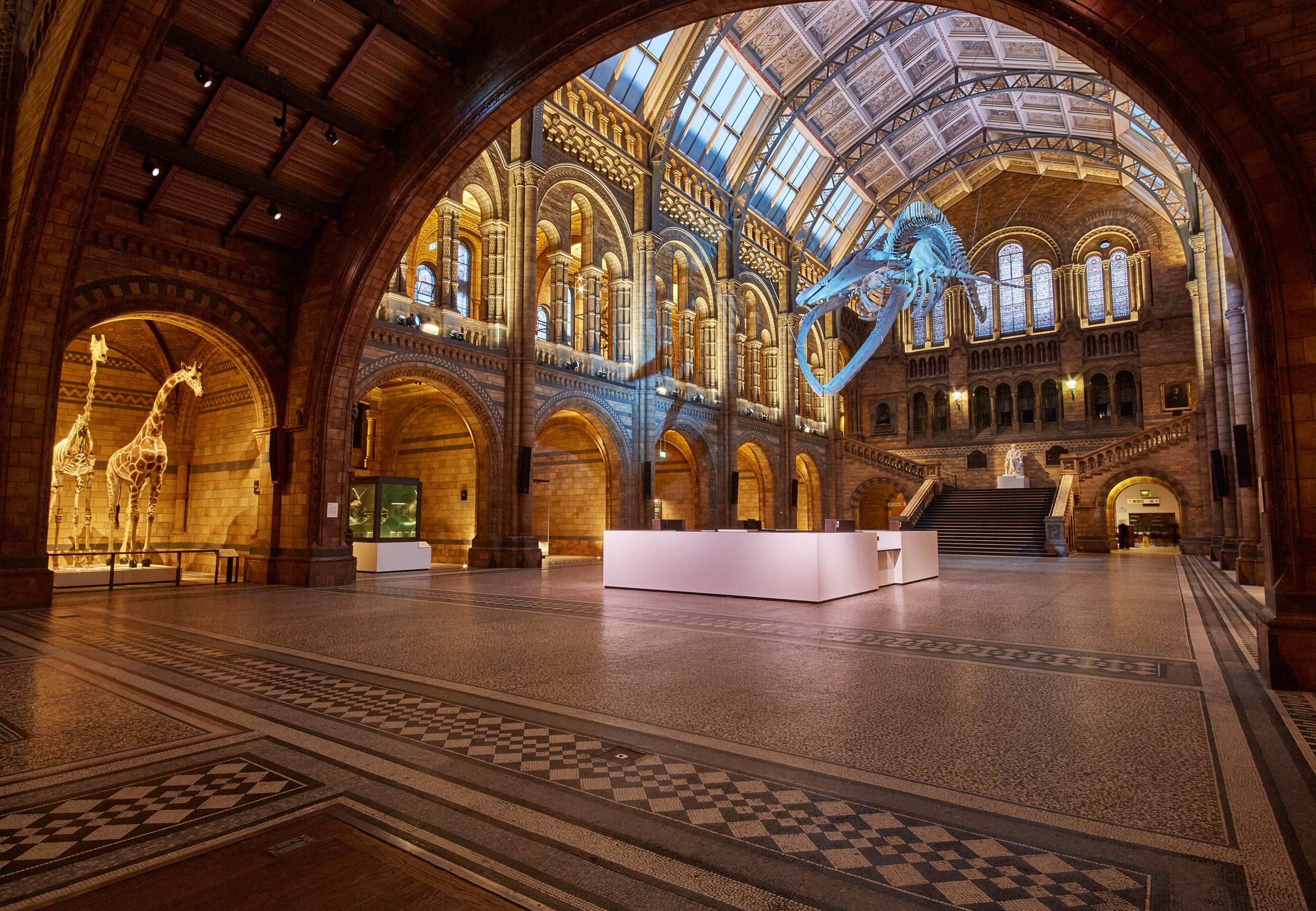 natural history museum london interior