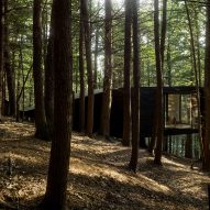 Tree House in New York by Jacobschang Architecture