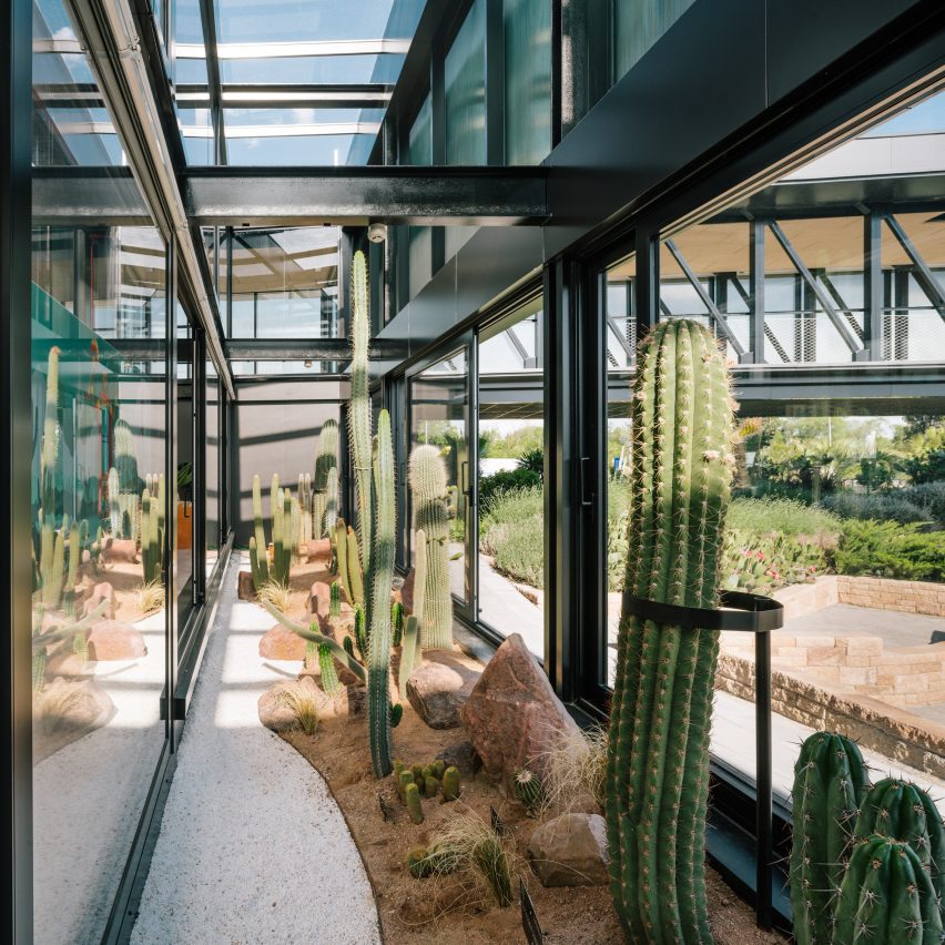 Garciagerman Arquitectos design cactus centre in Madrid