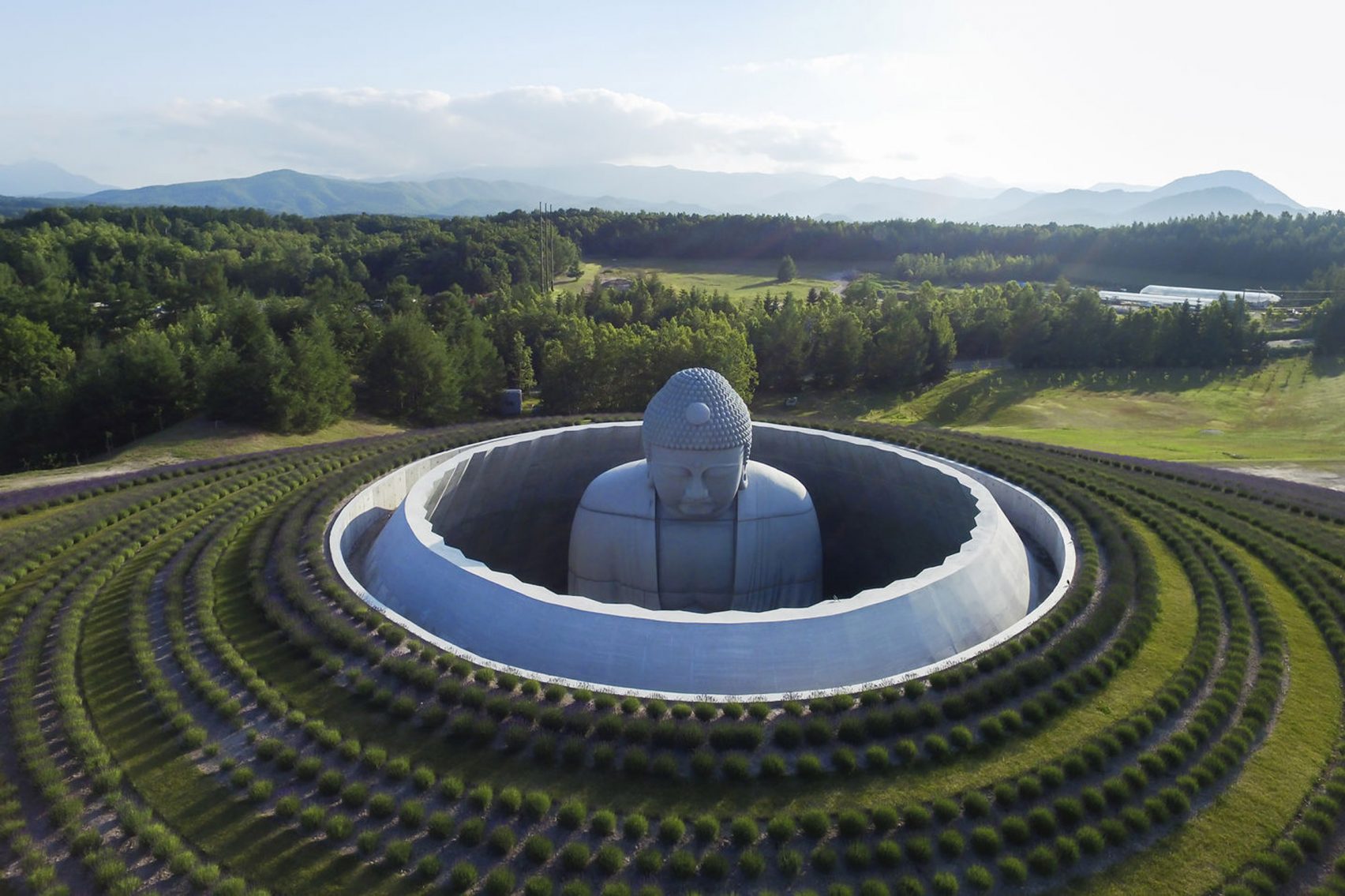 Tadao Ando Envelops Giant Buddha Statue In Lavender Planted Hill Temple My Xxx Hot Girl
