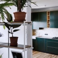 Green kitchen and wall of plants add character to low-budget apartment in Ukraine