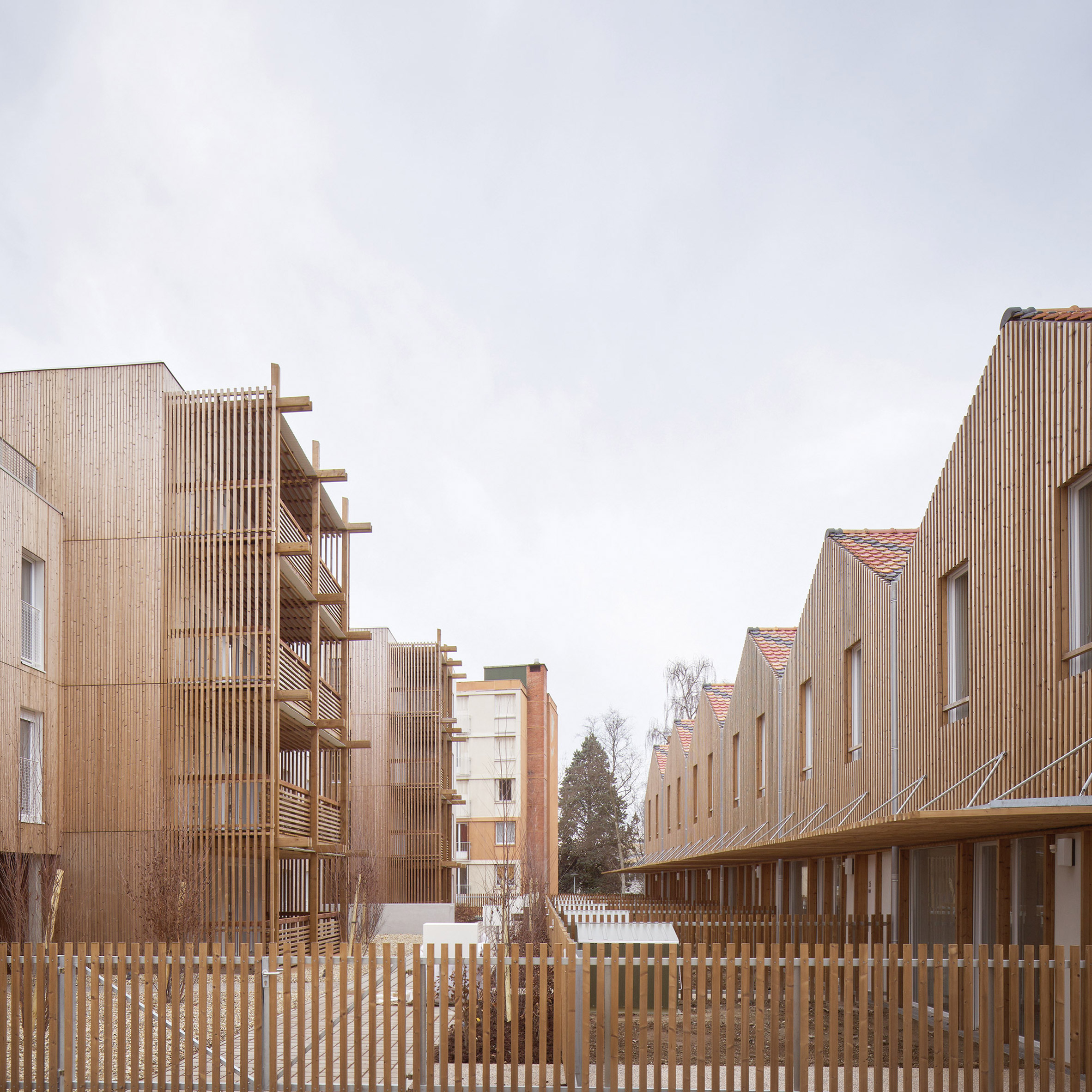 26 Social Housing by Odile and Guzy Architectes