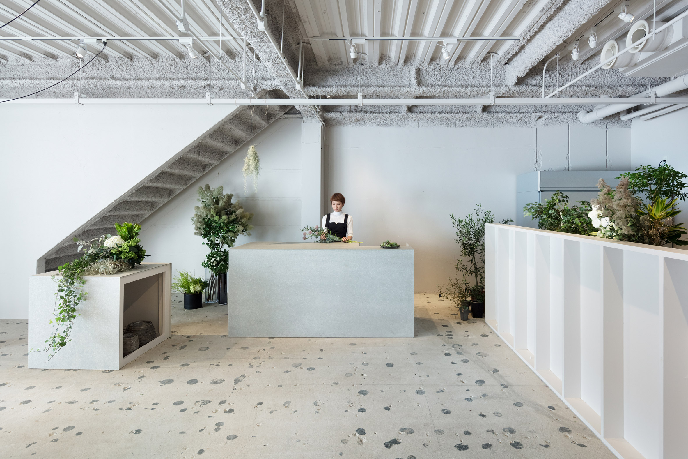 Minimal Japanese flower shop by Sides Core has climbing frame for plants
