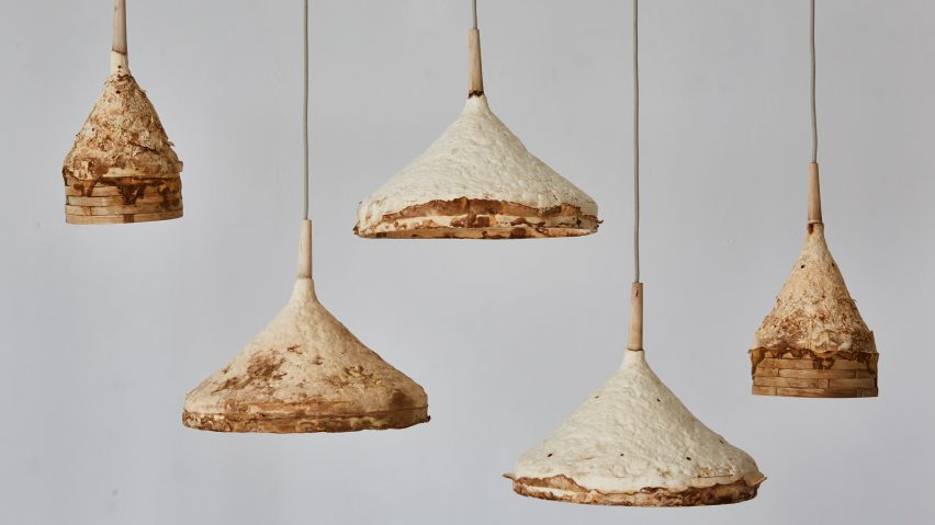 Mushroom mycelium used to create suede-like furniture by Sebastian Cox and Ninela Ivanova