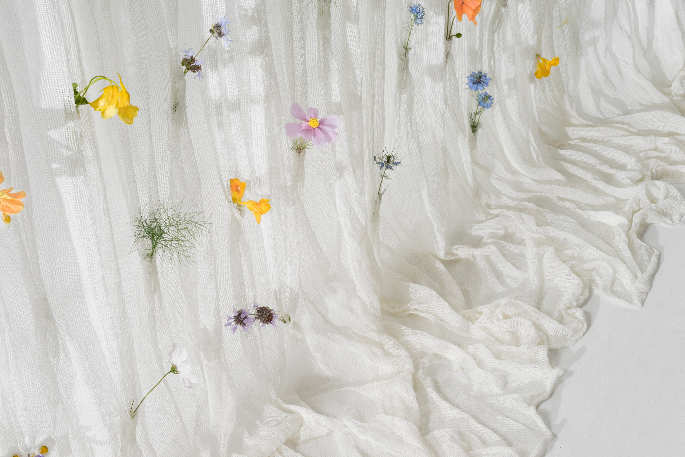 Draped Flowers Curtain by Umé Studio