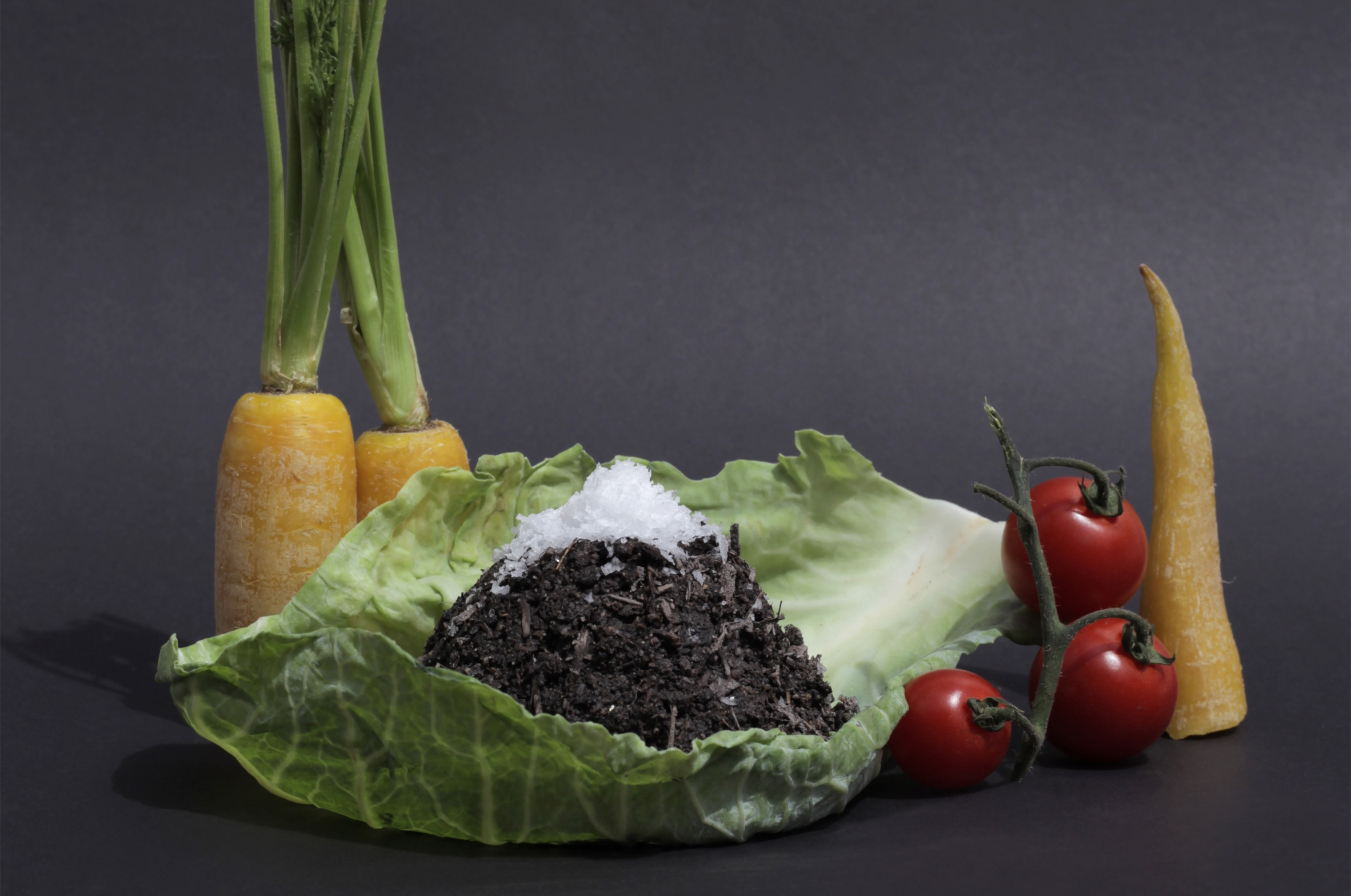 10 Sustainable Foods Of The Future On Show At Dutch Design Week