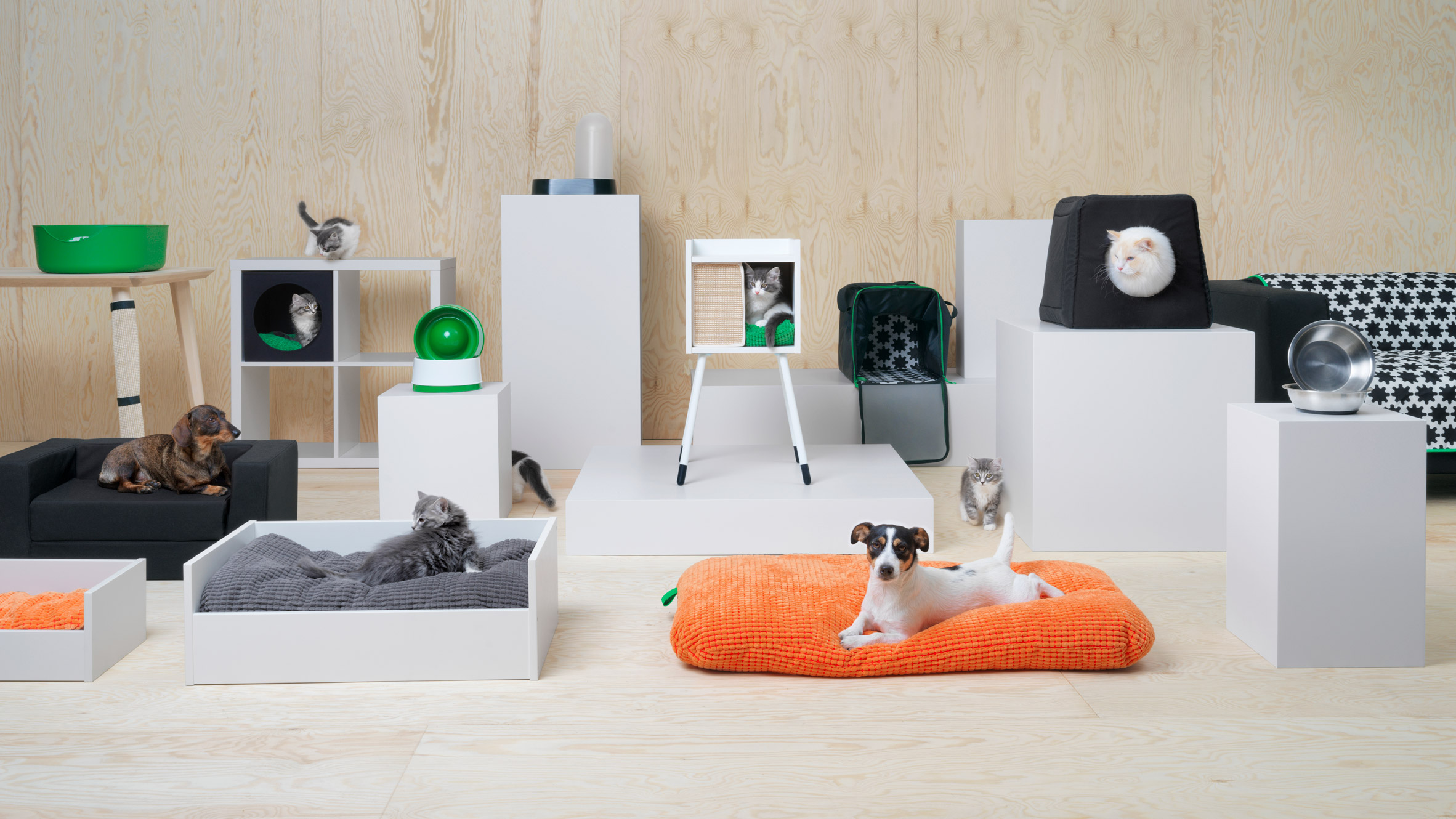 range of furniture for cats and dogs