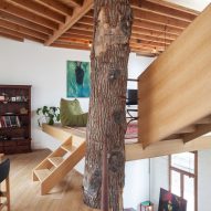Atelier Vens Vanbelle build pentagonal house around an oak tree trunk