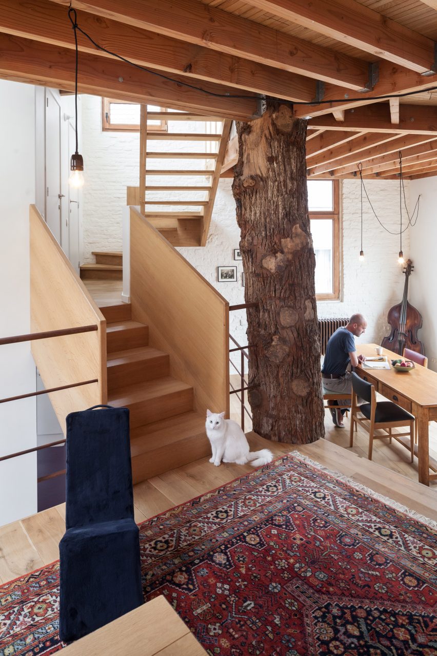Atelier Vens Vanbelle build pentagonal house around an oak tree trunk