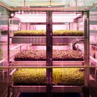 IKEA lab Space10 creates pop-up hydroponic farm for growing extra-healthy salads