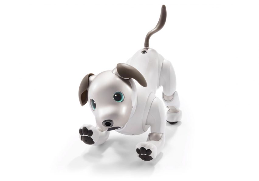 Sony Aibo robot dog
