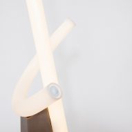 Curved glass tubes form Kawari Crane lamp by Bec Brittain