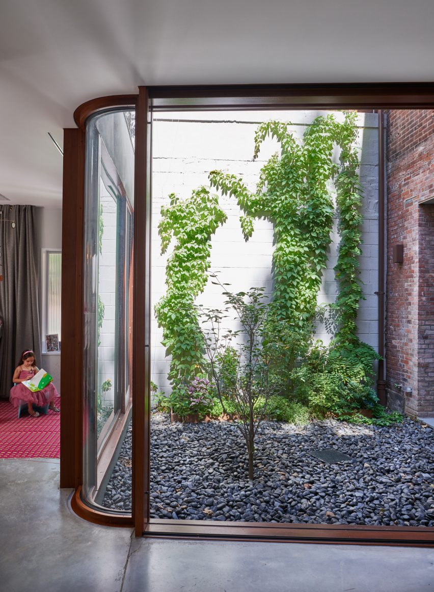 Courtyard House in Clinton Hill with indoor tree