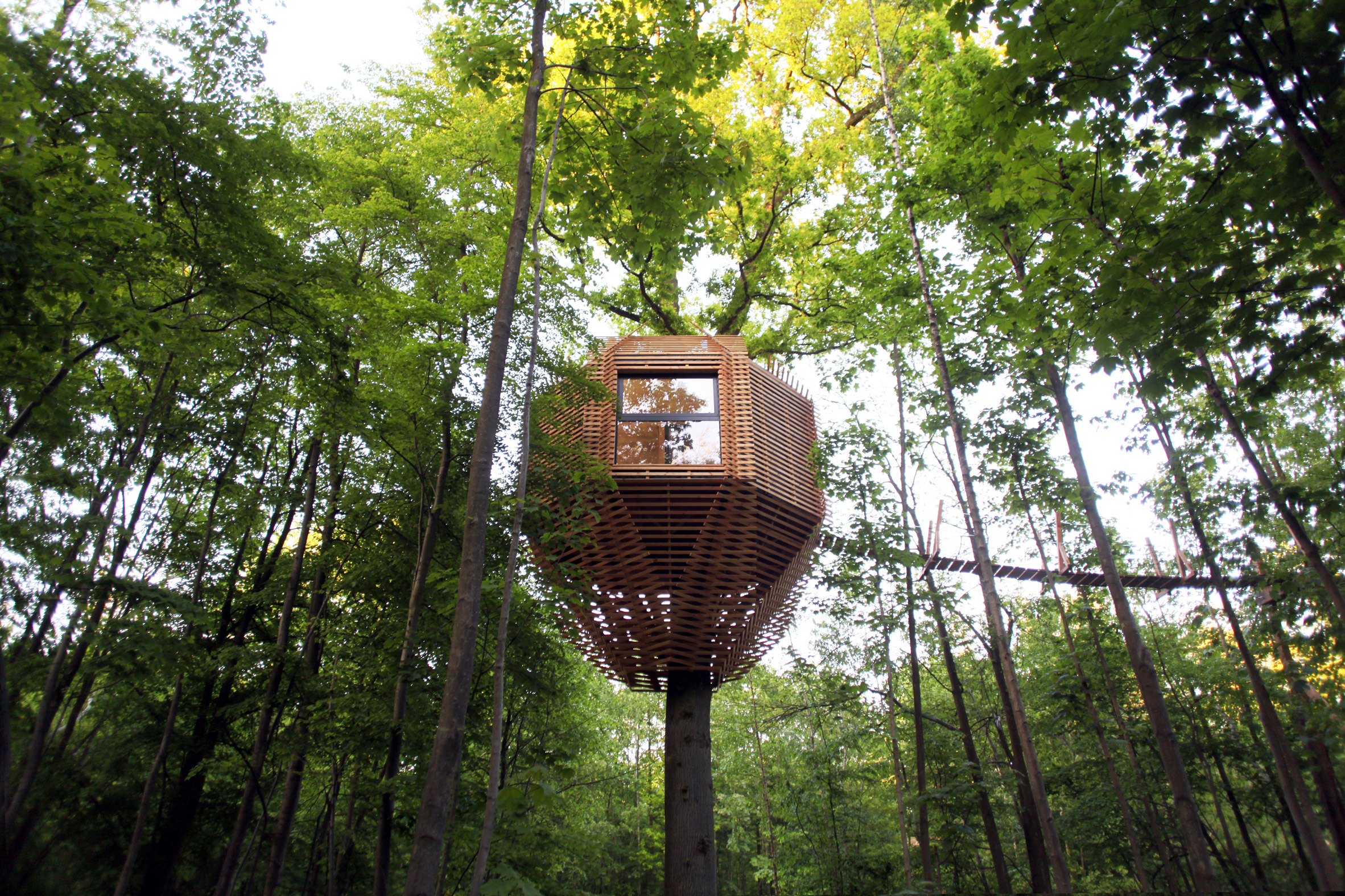 Origin tree house by Atelier Lavit