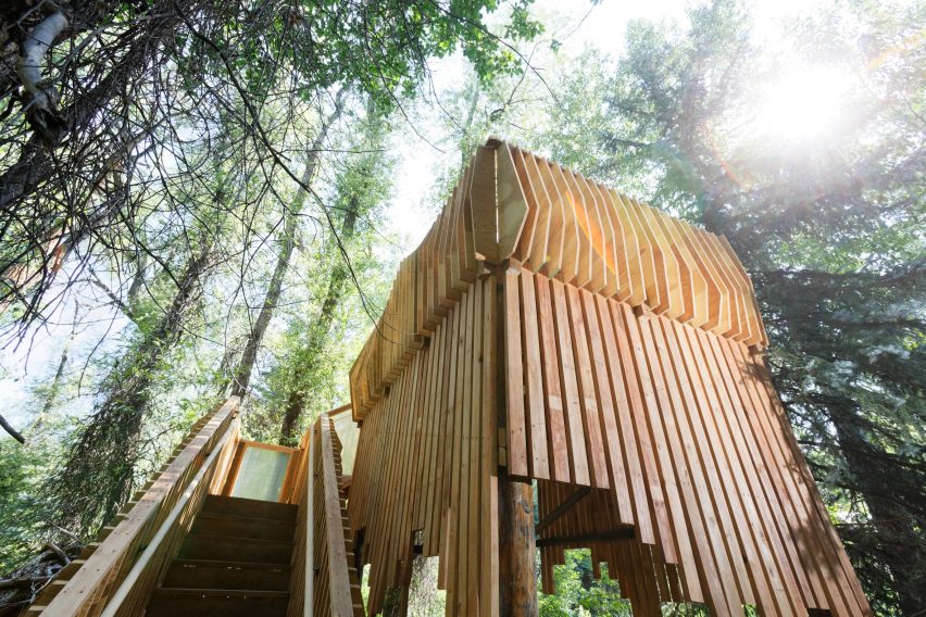 Aces Treehouse by Charles Cunniffe Architects