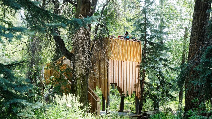 Aces Treehouse by Charles Cunniffe Architects