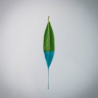 Finiture Green exhibition to showcase sustainable paint made from plants at Milan design week