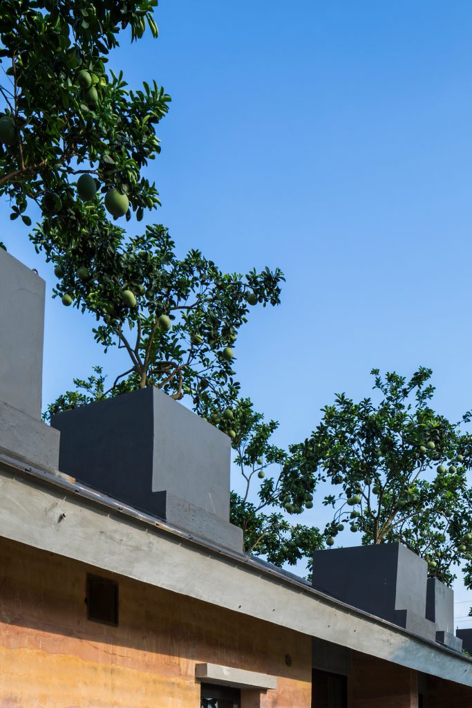 Trees Grow From The Roofs Of Vo Trong Nghias Stripy Rammed Earth House