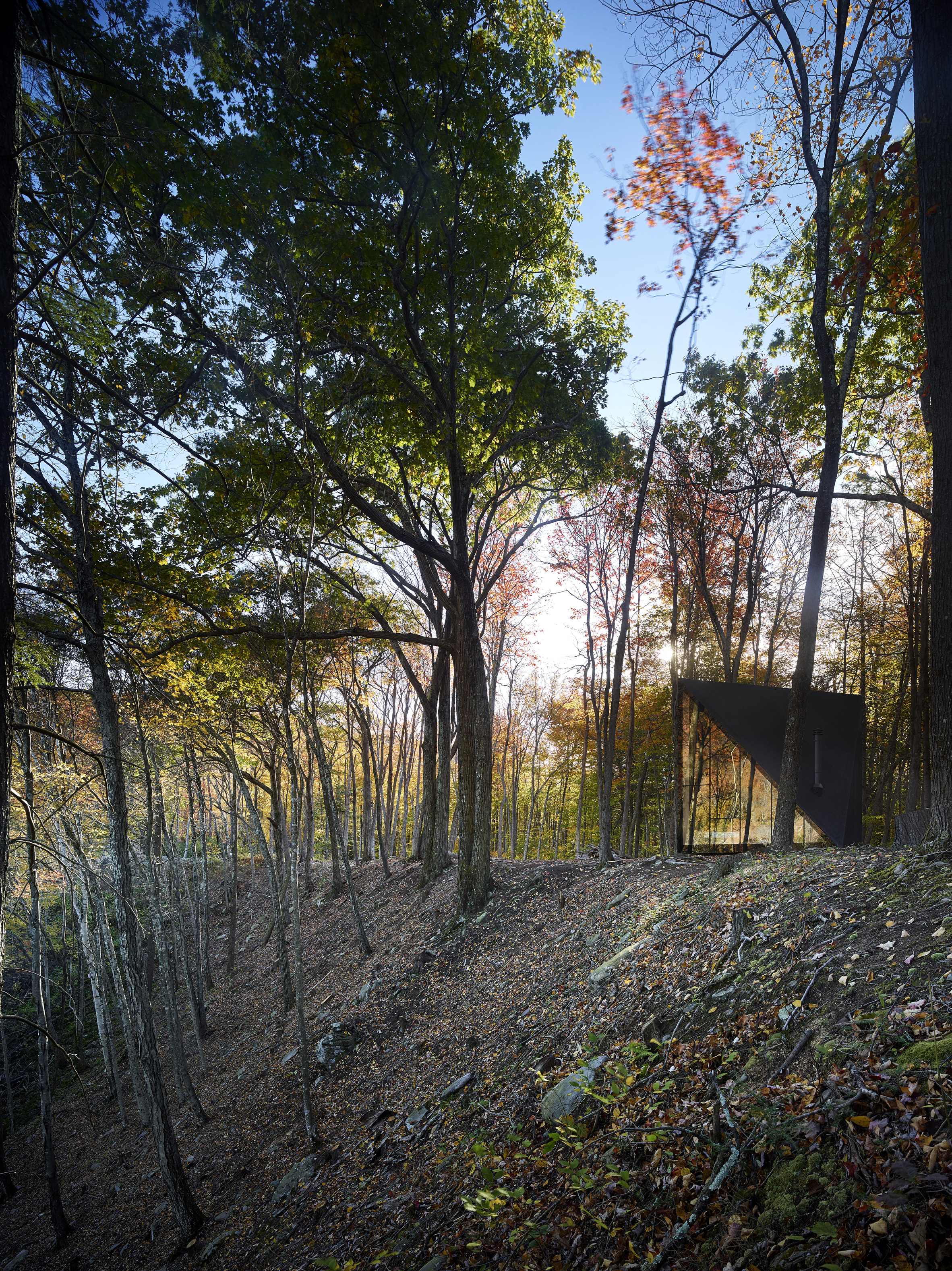 Big Designs Prototype Tiny Cabin In Upstate New York